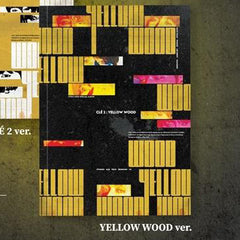 STRAY KIDS -CLE 2: Yellow Wood - Special Album - Normal Version